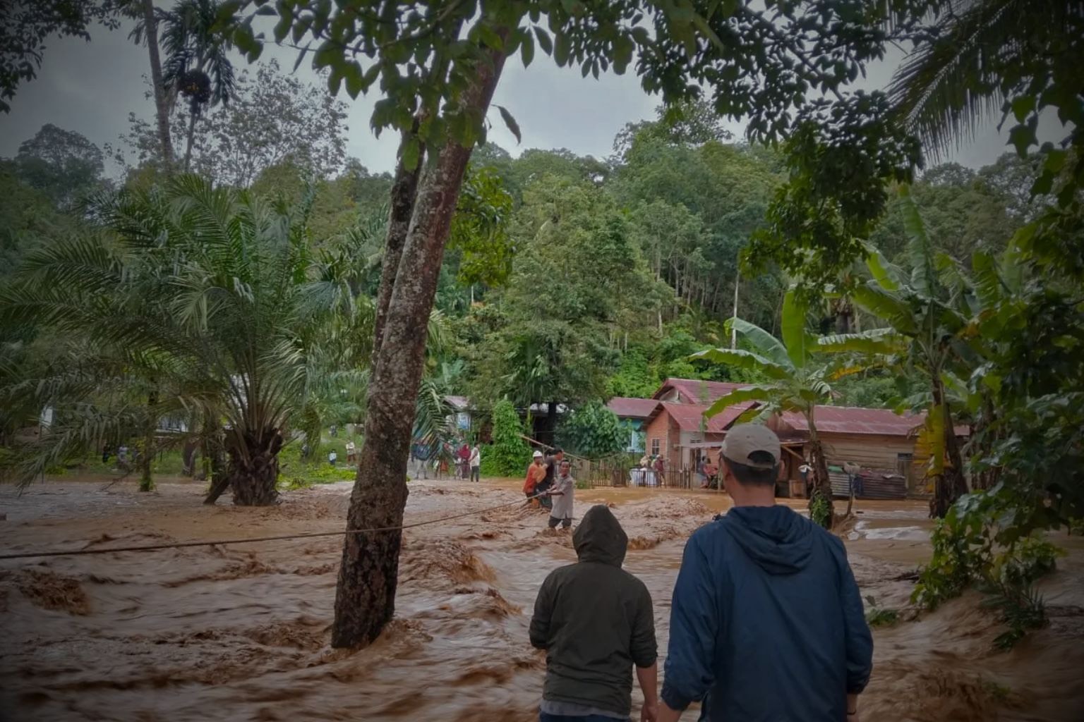 Anomali Siklon Senyar dan Krisis Hutan Sumatra: Sorotan Global atas Tata Kelola Lingkungan Indonesia