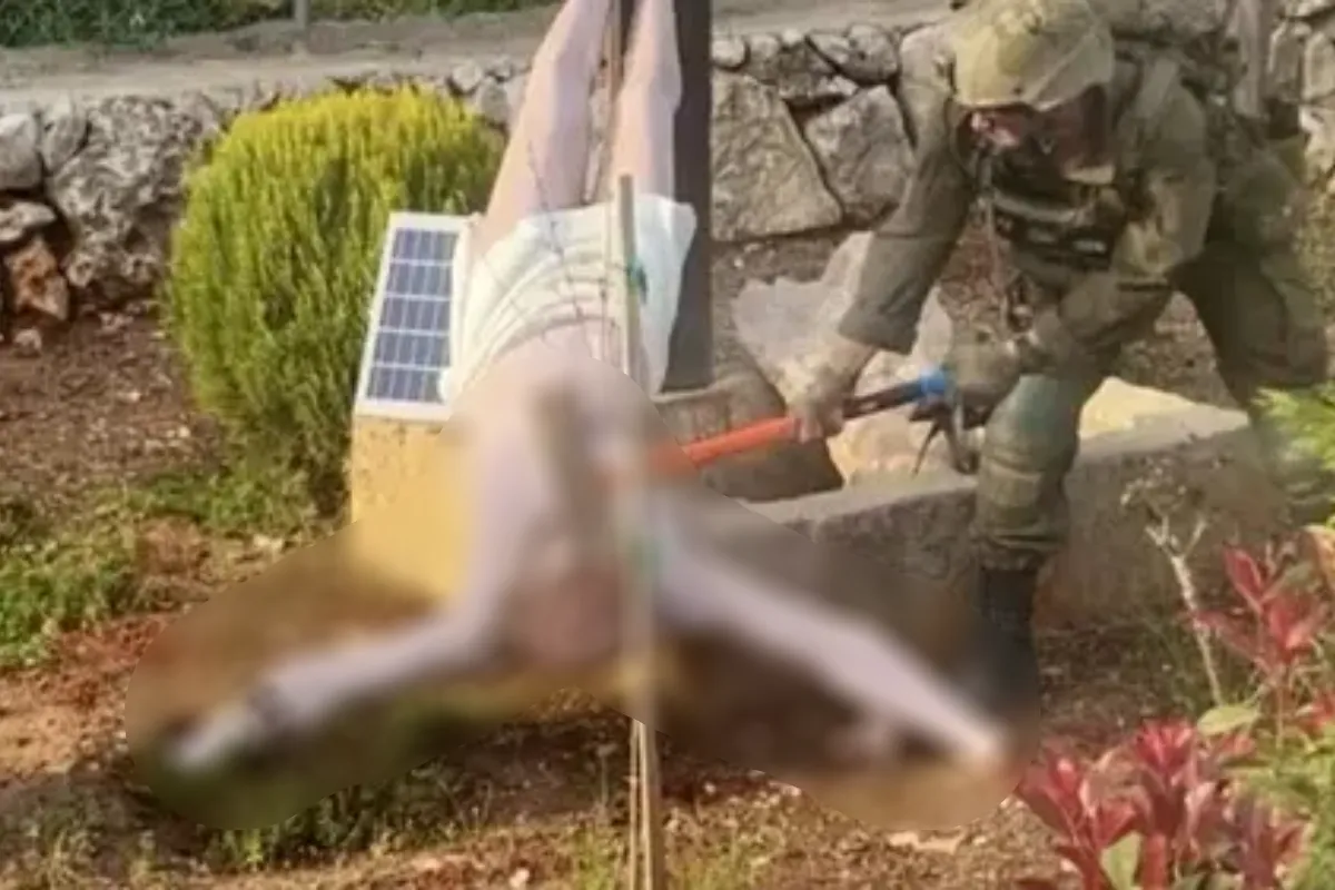 Skandal Vandalisme Militer Israel Ancam Stabilitas Kawasan Lebanon Selatan