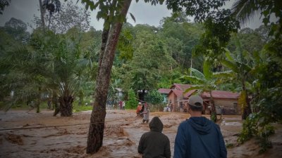 Anomali Siklon Senyar dan Krisis Hutan Sumatra: Sorotan Global atas Tata Kelola Lingkungan Indonesia