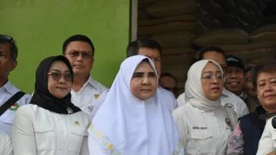 Banjir di Padang Berulang, Nevi Desak Solusi Jangka Panjang