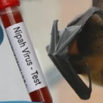 Ilustrasi Virus Nipah